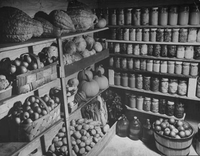 food stored in cellar