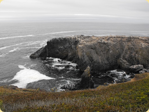 Lincoln City to Florence, OR 150