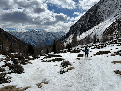 Val Cané and view south toward the Adamello Group.