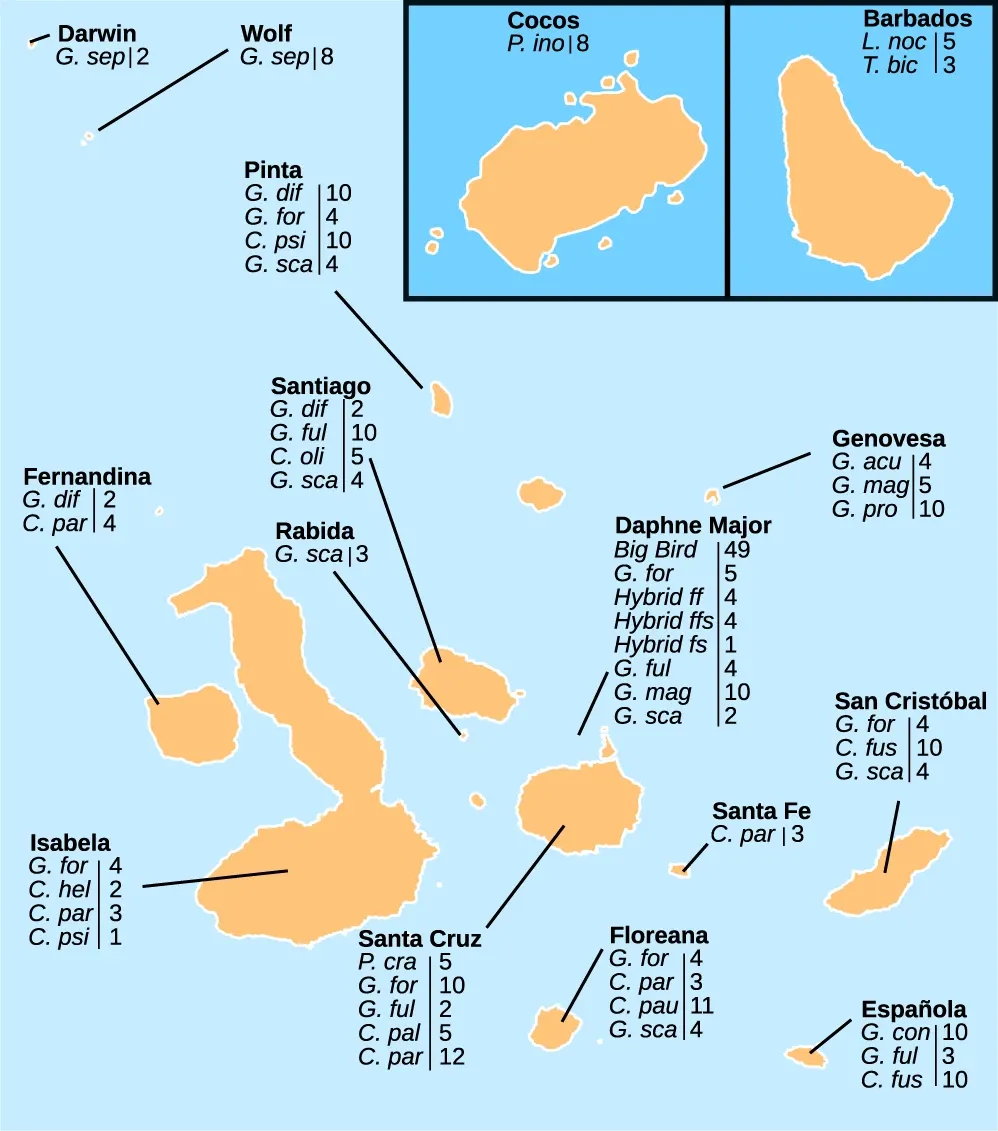 Galapagos Islands and distribution of Darwin's finches