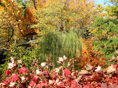 Fall Colors Conservatory Garden Central Park