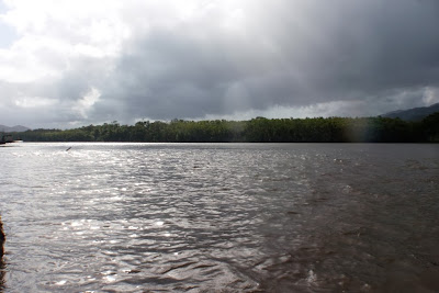 rio Daintree