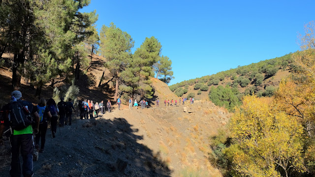 Canal de Natalio, Barranco Alcázar