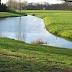 Meer natuur voor de Tovensche Beek