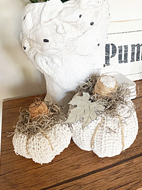 sweater pumpkins and bust