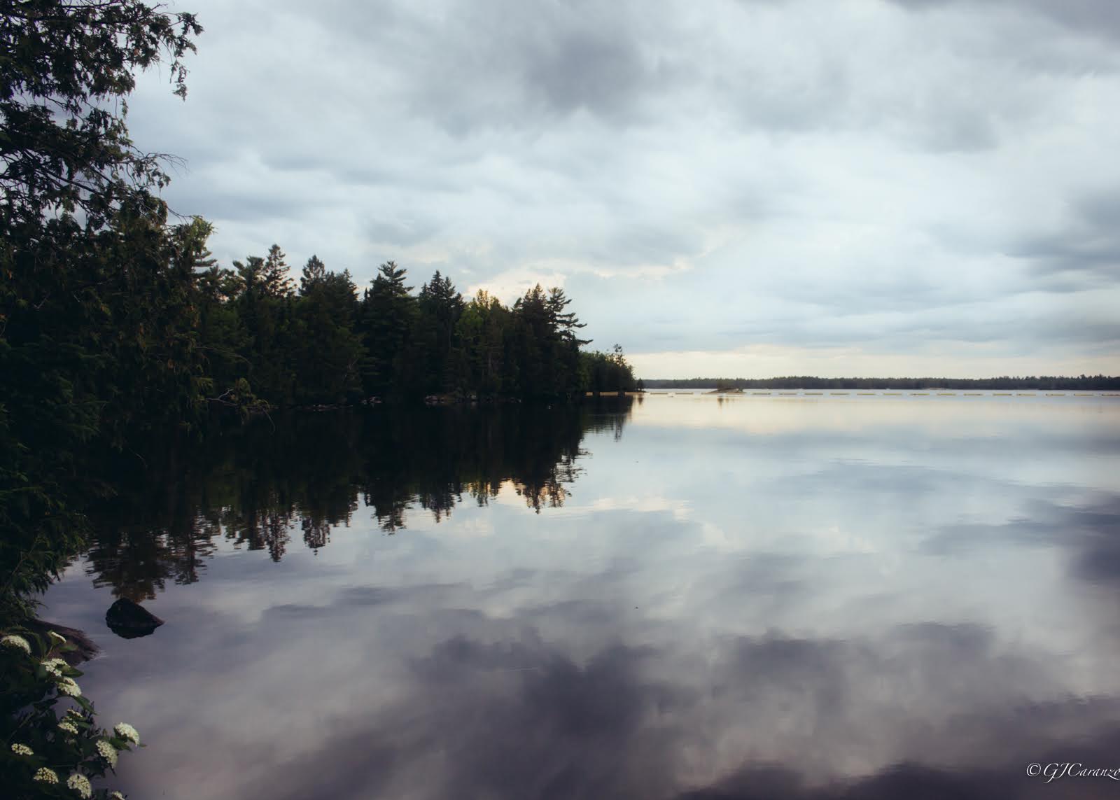 Morris Island Conservation Area: A Short Day Trip from Ottawa, Ontario