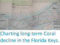 https://sciencythoughts.blogspot.com/2018/01/charting-long-term-coral-decline-in.html