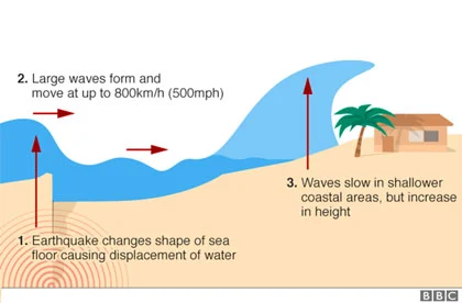 Contoh explanation text about tsunami
