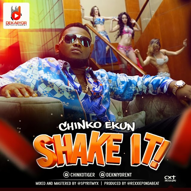 Chinko Ekun - SHAKE IT