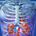 10 Common Habits That Seriously Damage Your Kidneys