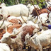 No One Can Defeat Fulani In Nigeria – Fulani National Leader Claims 