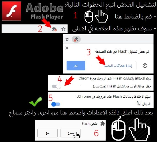 شغل الفلاش في المتصفح بهذا الامر بعد التنزيل flash