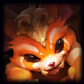  Gnar Skins