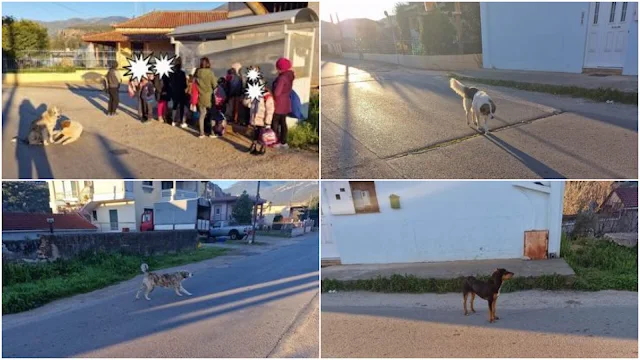 Στάση με παιδιά και σκύλους