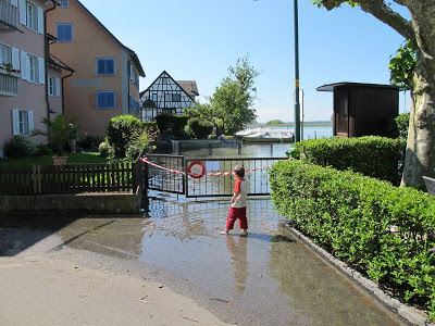 Gottlieben, Hochwasser Bodensee, Bodensee Forum, Hochwasser, 2013, Bodenseeforum, Bodensee,