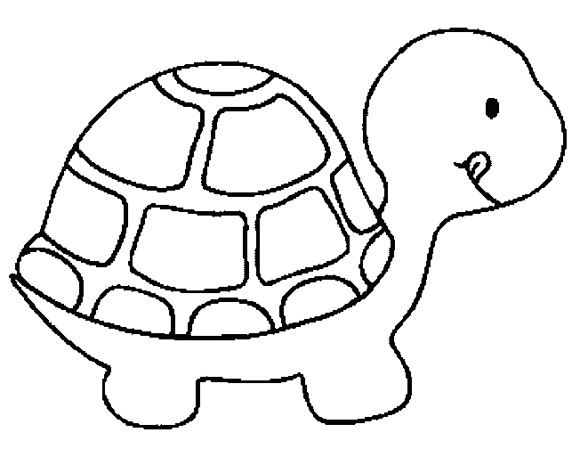 Turtle coloring title=