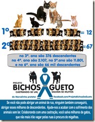 projeto-bichos-do-gueto-02