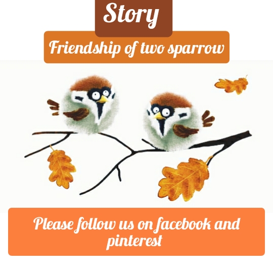 Story: Friendship of two sparrows