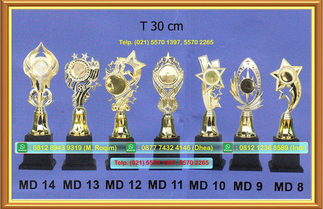 jual piala, harga piala, harga trophy, jual trophy, piala murah, trophy murah, daftar harga piala, toko piala, harga piala plastik, harga piala murah