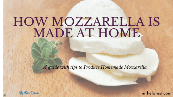 The best way to Produce Homemade Mozzarella