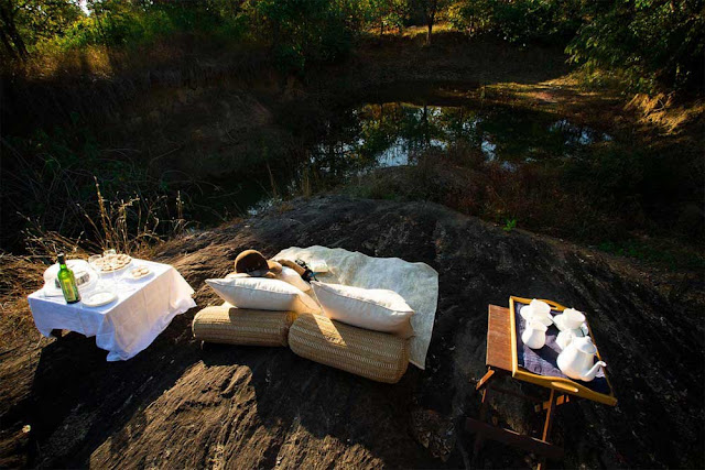 Relaxation Kanha Jungle