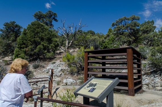 Great Basin-55