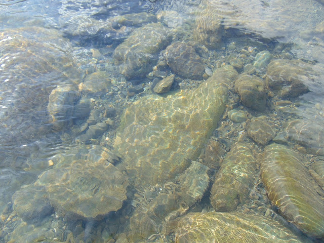 stones in water