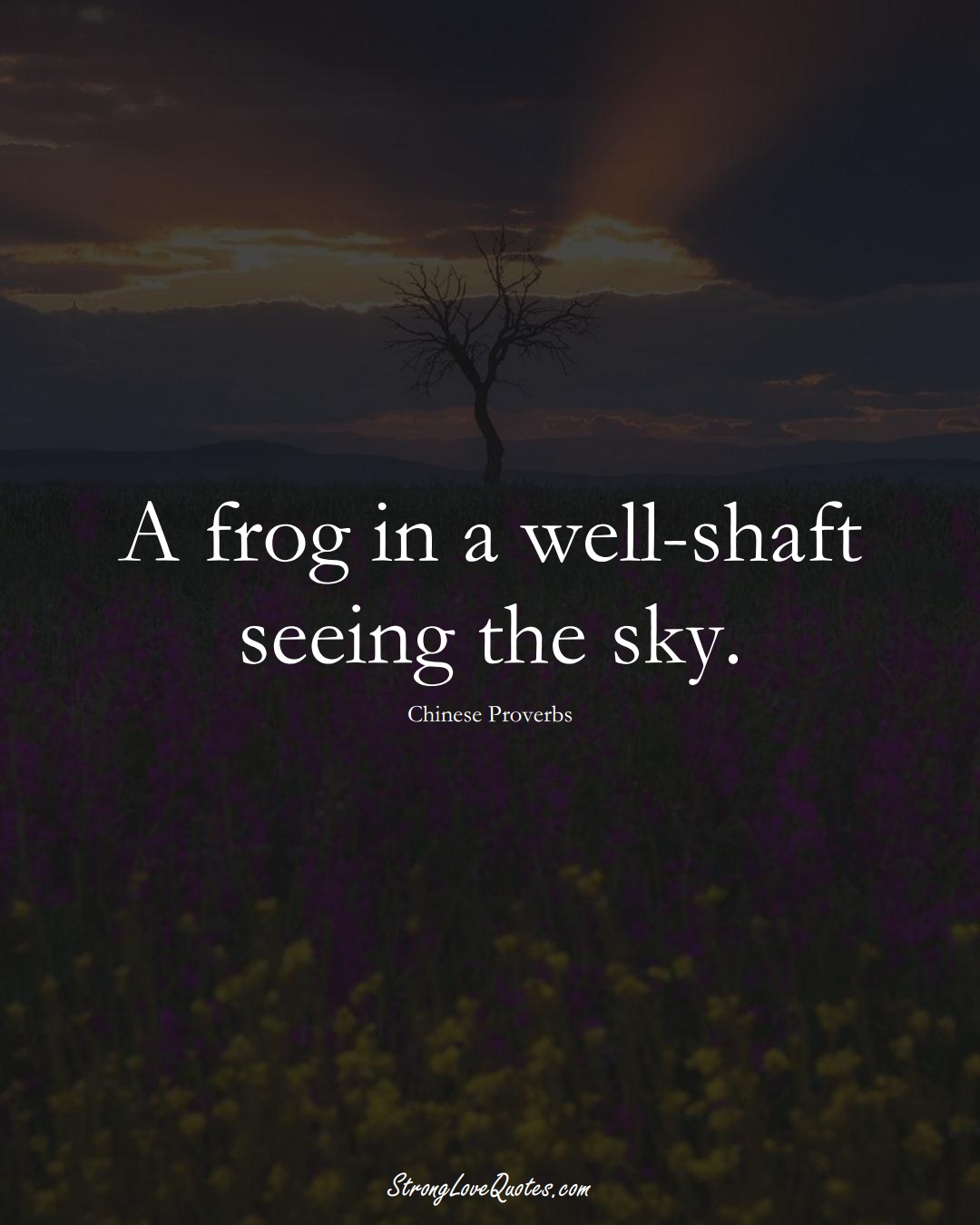 A frog in a well-shaft seeing the sky. (Chinese Sayings);  #AsianSayings