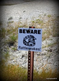 OK, we won't be wandering aimlessly!