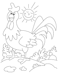 Best Image And Photo Of Rooster in Garden Coloring Book