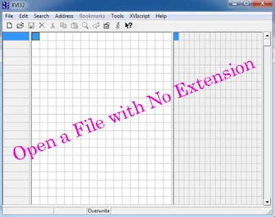 Computer Tips:  Open a File with No Extension