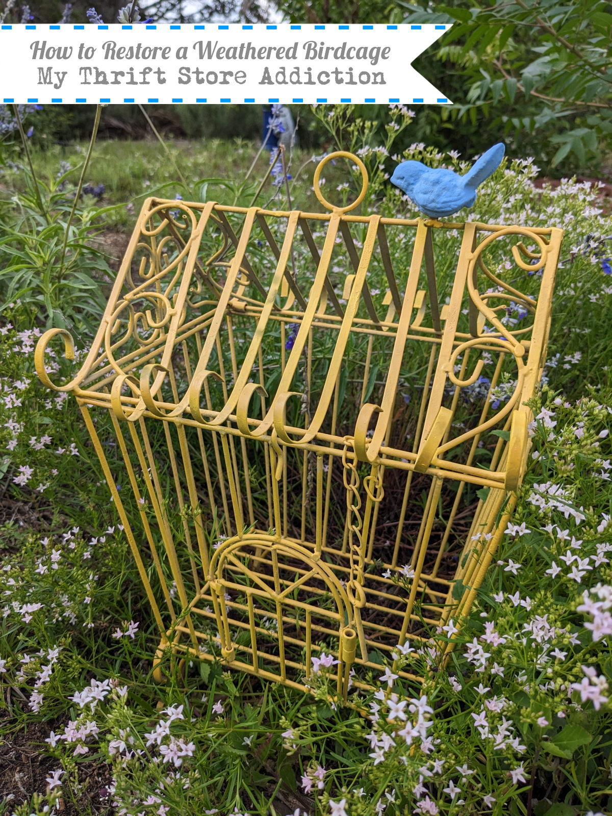 How to restore a birdcage