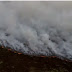Pantanal em chamas: Bioma registra 71 focos de incêndio em um dia