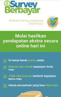 Surveyberbayar