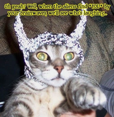 cat in hat. Tin Foil Cat Hat