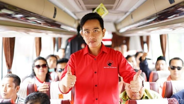 PAN Dukung Gibran Di Pilkada Solo, Titah Amien Rais?