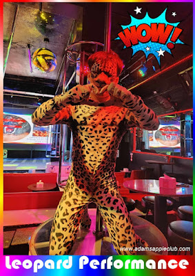 Leopard Performance Chiang Mai Gay Nightclub