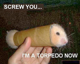 30 Funny animal captions - part 21 (30 pics), captioned animal pictures, hamster in the tube