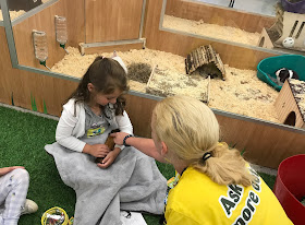 a My Pet Pals Workshop at Pets at home store