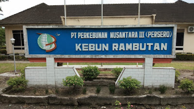 Areal Paya Bagas Merupakan HGU PTPN III