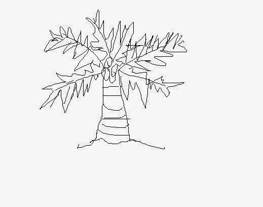 Ide 38 Cara Menggambar Pohon Kelapa 
