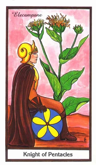 Knight of Pentacles Herbal Tarot