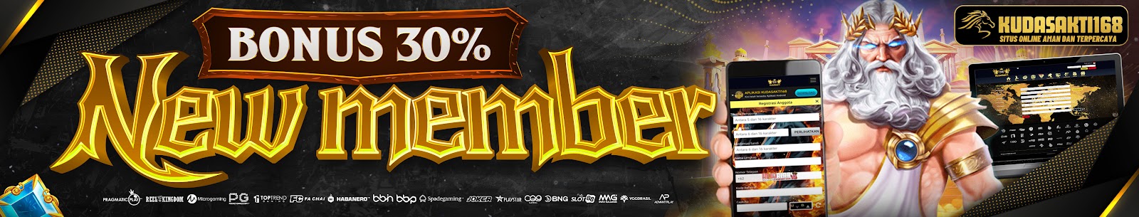 New Member 30%