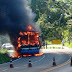 Ônibus pega fogo na BR 415,veja