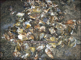 talaba, oyster, kilawin, food