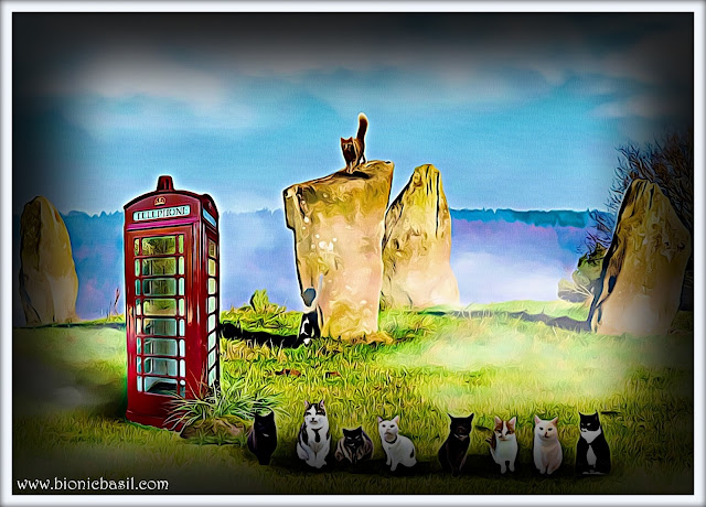 The B Team's Nine Stone Close - The Grey Ladies Stone Circle Selfie ©BionicBasil® Caturday Art Blog Hop