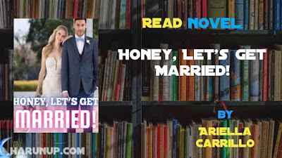 Read Honey, Let's Get Married Novel Full Episode