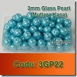 3GP22 copy