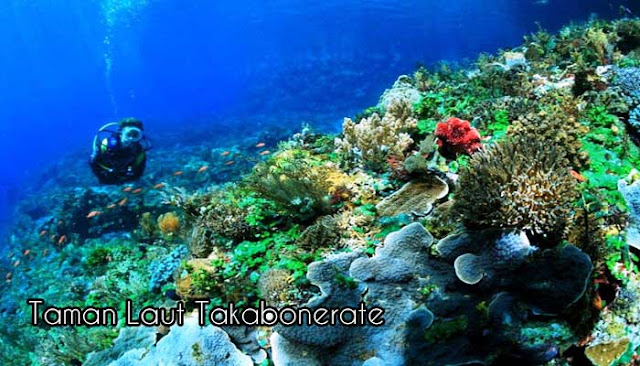 Taman Laut Terindah Di Indonesia  