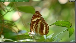 20150806_114538_072_HoMeiSan